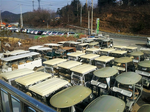 매일레져
