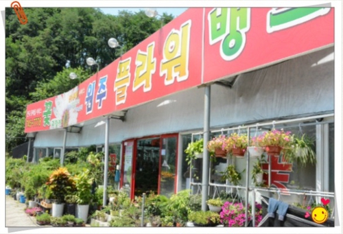 원주플라워뱅크