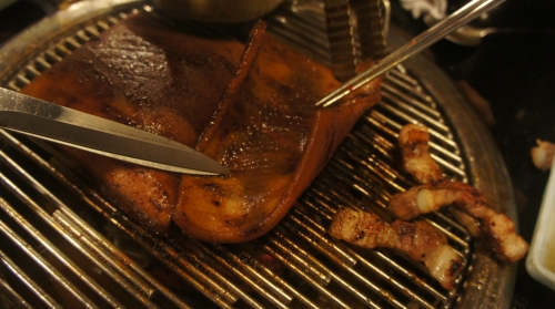 통통돼지