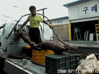 지리산골건강농장