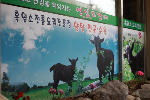 연심모경대