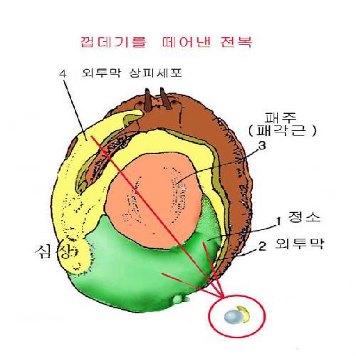 육거리