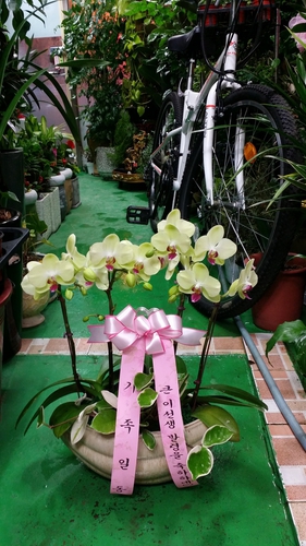 중앙꽃화원