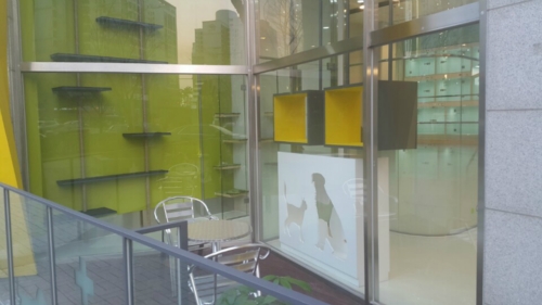 24시송도힐동물메디컬센터 대표 이미지