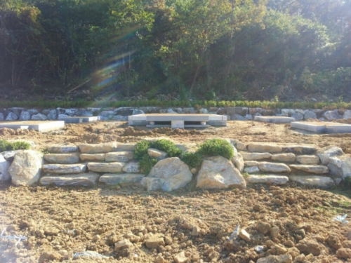 하늘천상조