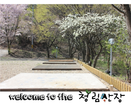 청림산장