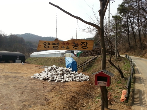 양평곤충수초농장