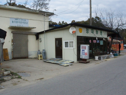 정대농원