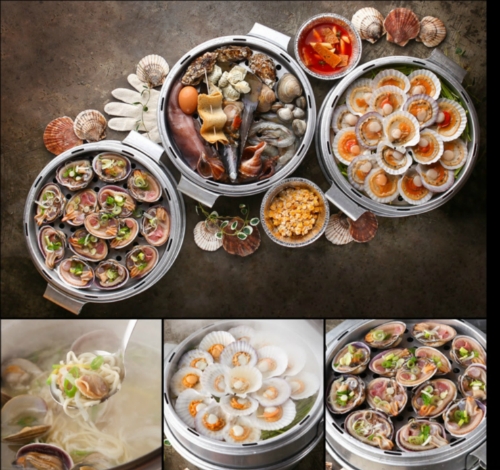 조개본능