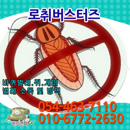 로취버스터즈 김천지사