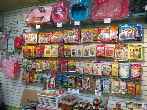 목욕하는 강아지 대표 이미지