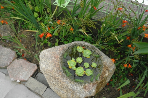 죽녹원5분거리민박