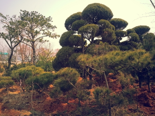 남동조경건설
