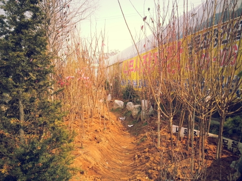 남동조경건설