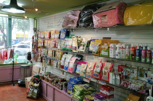 목욕하는 강아지 대표 이미지