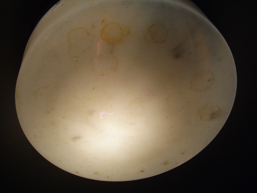 크론이사청소 이사 서비스