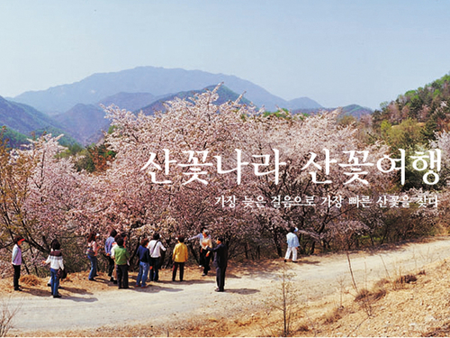 산골마을