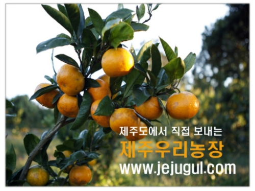 제주우리농장