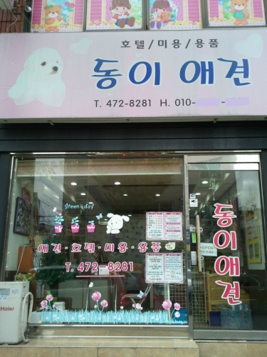 동이애견
