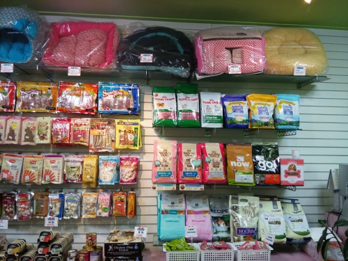 목욕하는 강아지 대표 이미지