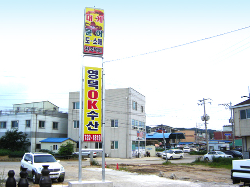 영덕Ok수산