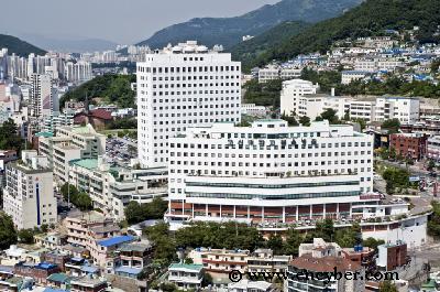 고신대학교복음병원
