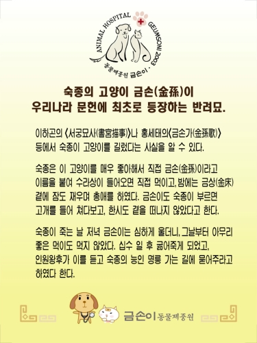 동물제중원금손이 대표 이미지