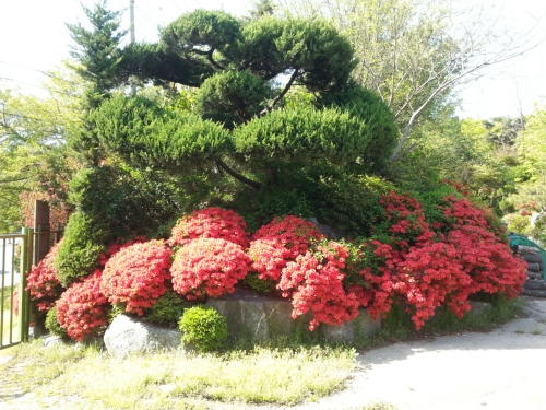 더드림조경건설