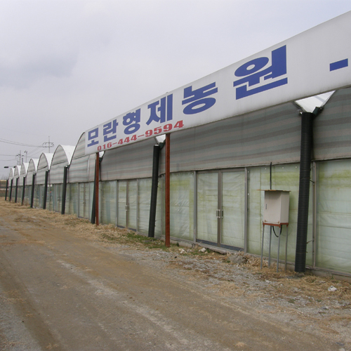 모란형제농원