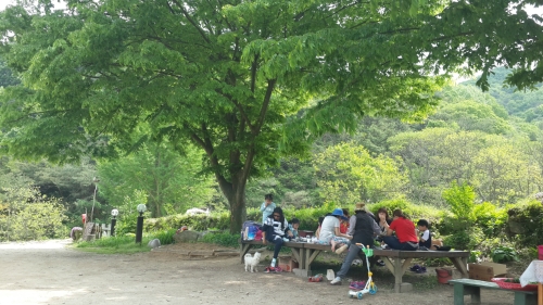 산소리숲마을