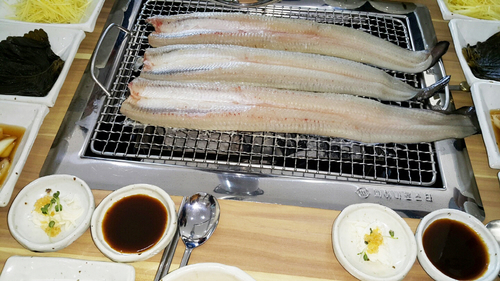 오학민물장어