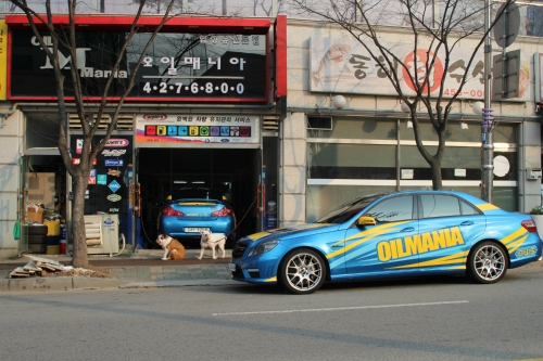 GP오일매니아