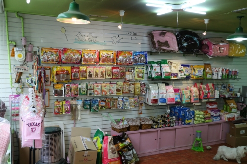 목욕하는 강아지 대표 이미지