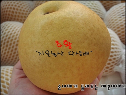 지은농산