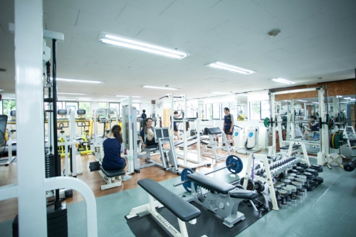 헬스파크