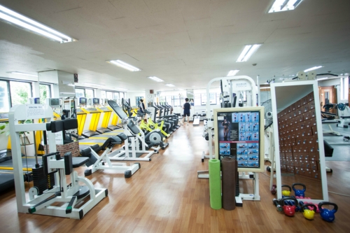 헬스파크