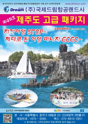 국제드림항공여행사