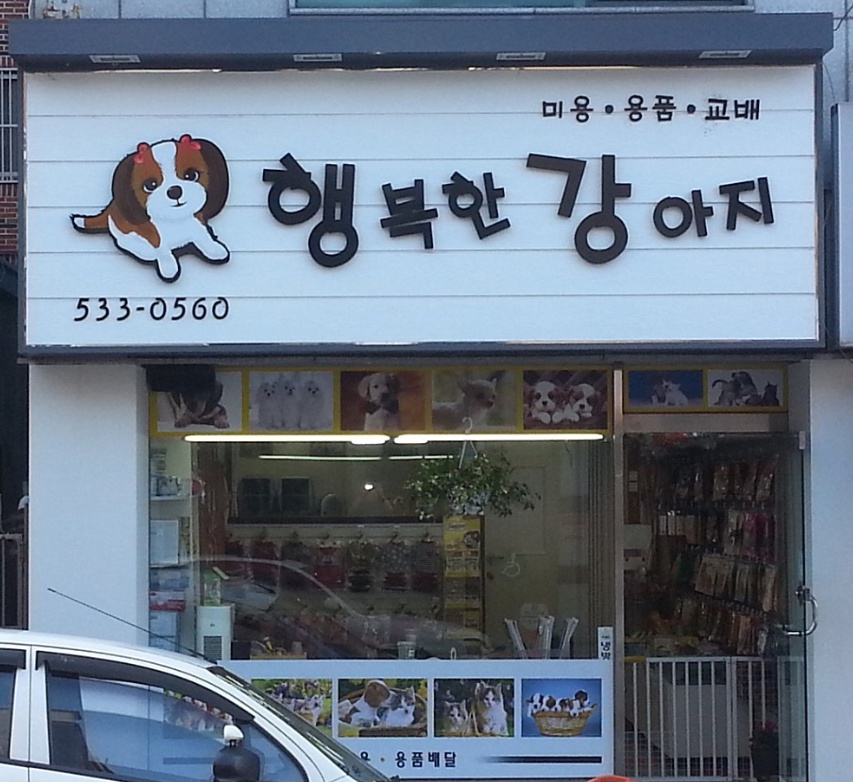 행복한강아지 대표 이미지