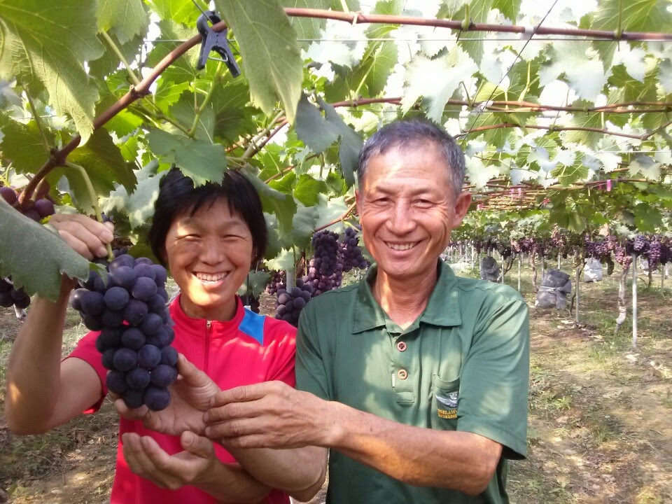 보람농장
