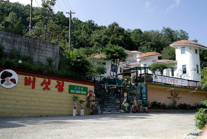버섯집초리골