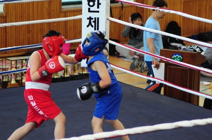 와일드복싱짐 본관