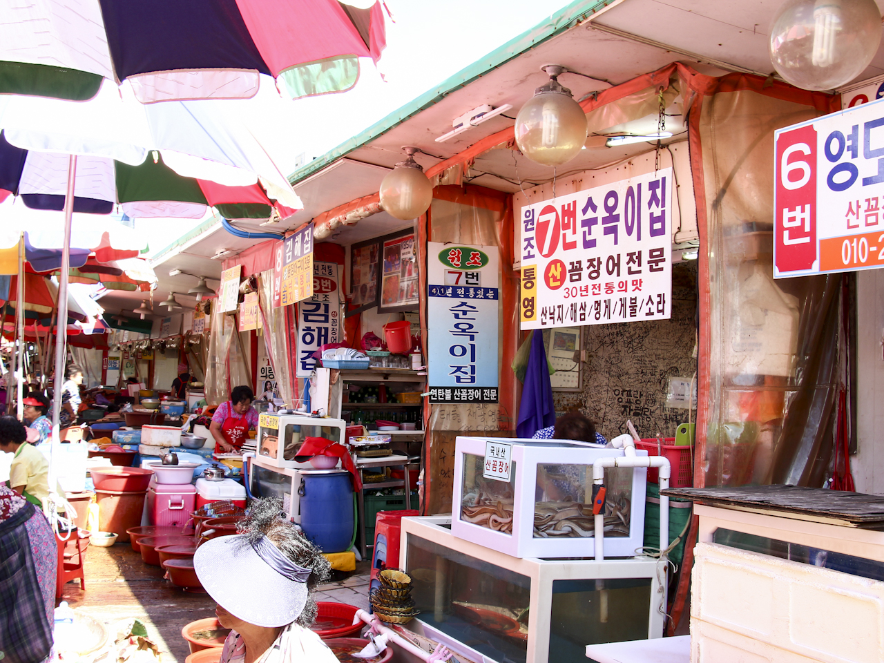 순옥이네