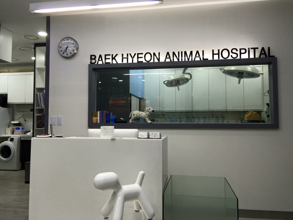 백현고양이병원 대표 이미지