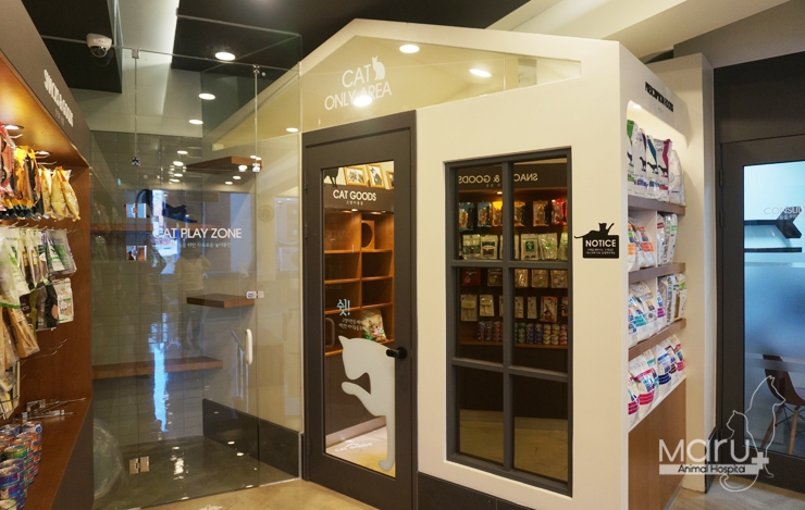 마루동물병원 대표 이미지