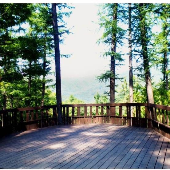 대궐오토캠핑장