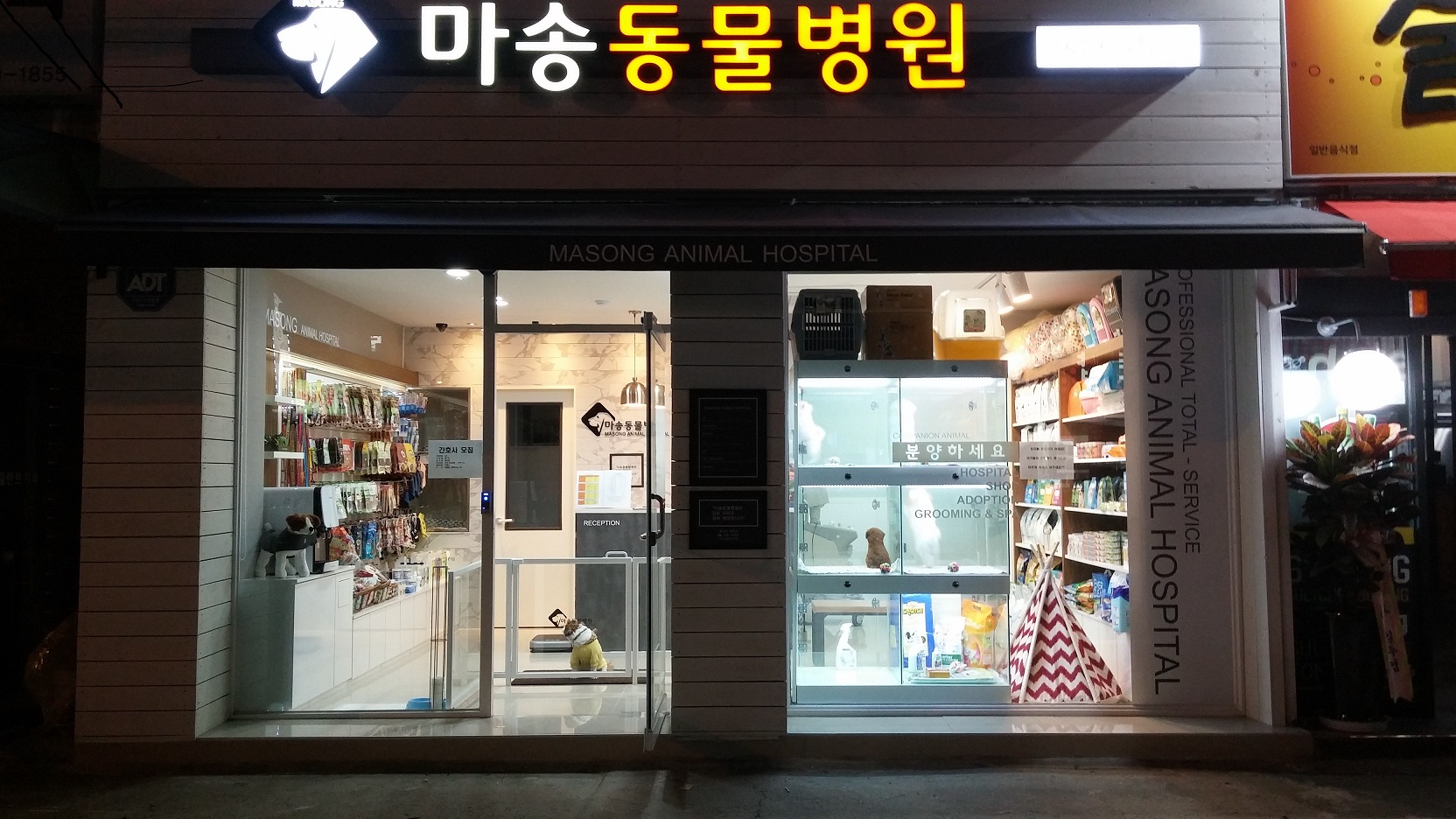 마송동물병원 대표 이미지