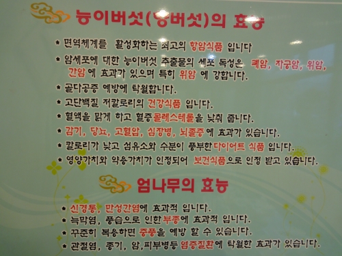 능이버섯백숙향계
