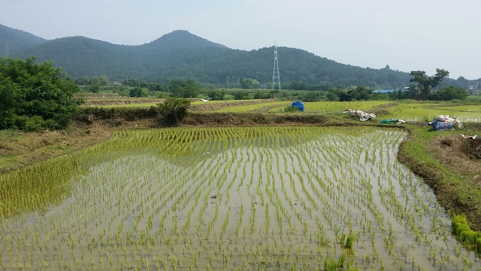보물섬 치유농원