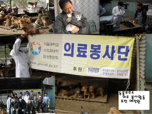 북악동물병원 대표 이미지