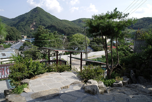 버섯집초리골